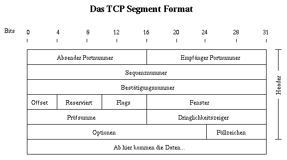 tcp segmant format